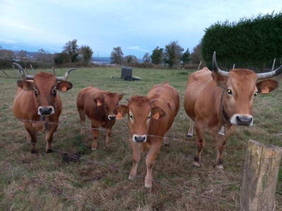 Casa Con Finca En Oviedo El Casero Kültér fotó